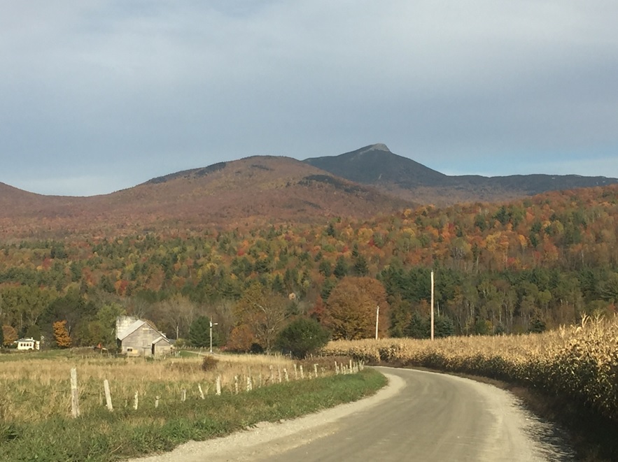 Miles Farm Landscape